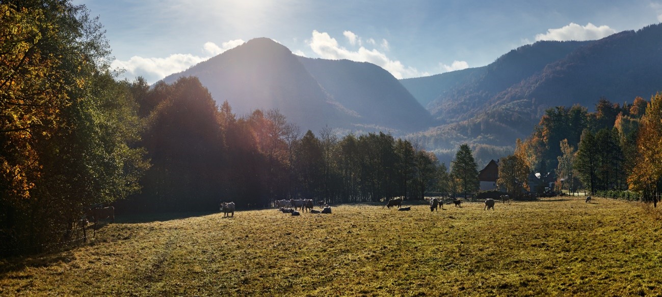 Florestas de faias, Patrimônio Mundial e joia rara nos horizontes de Liberec