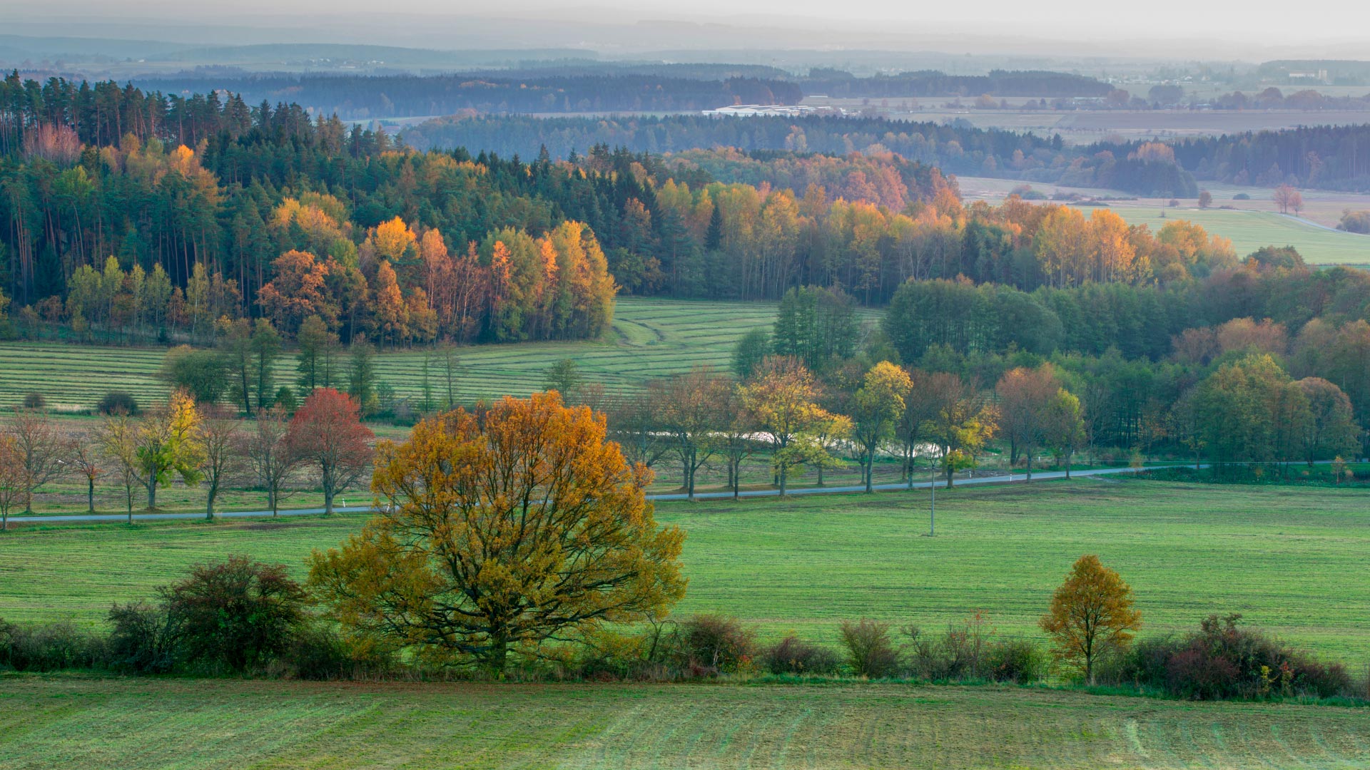 4 rutas de otoño para desconectar en los bosques checos