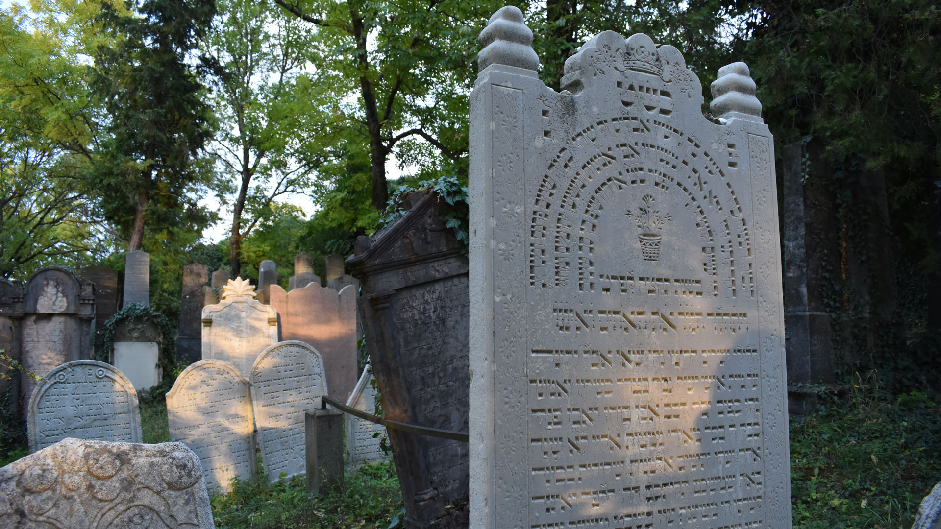 cementerio judio de mikulov