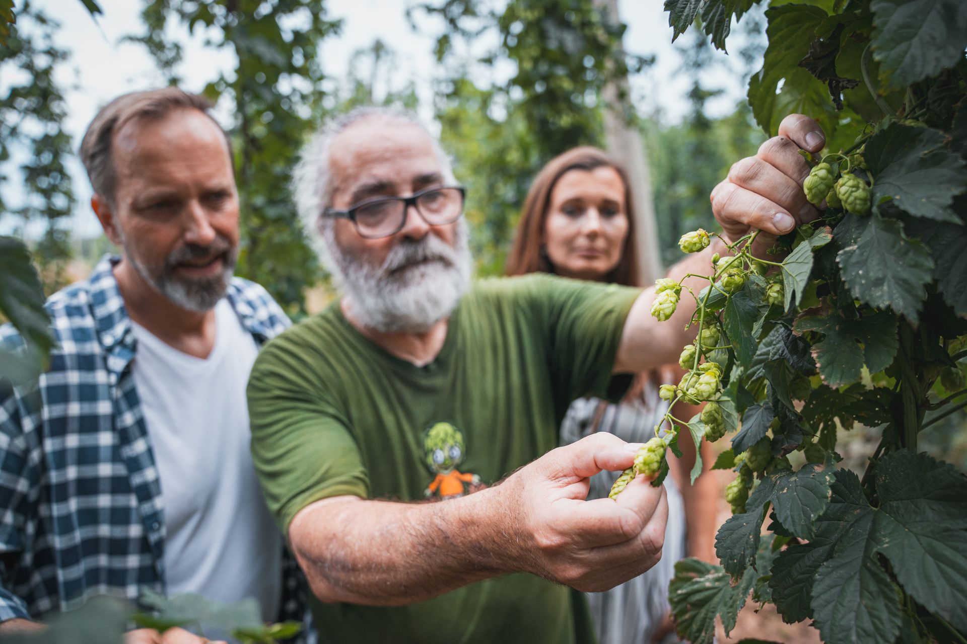 lúpulo cerveza checa