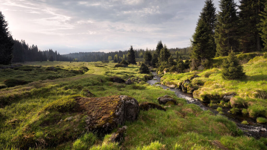 Parque Sumava