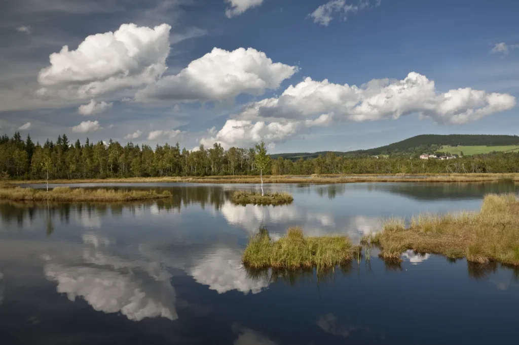 Parque Nacional Šumava, donde nace el río Moldava