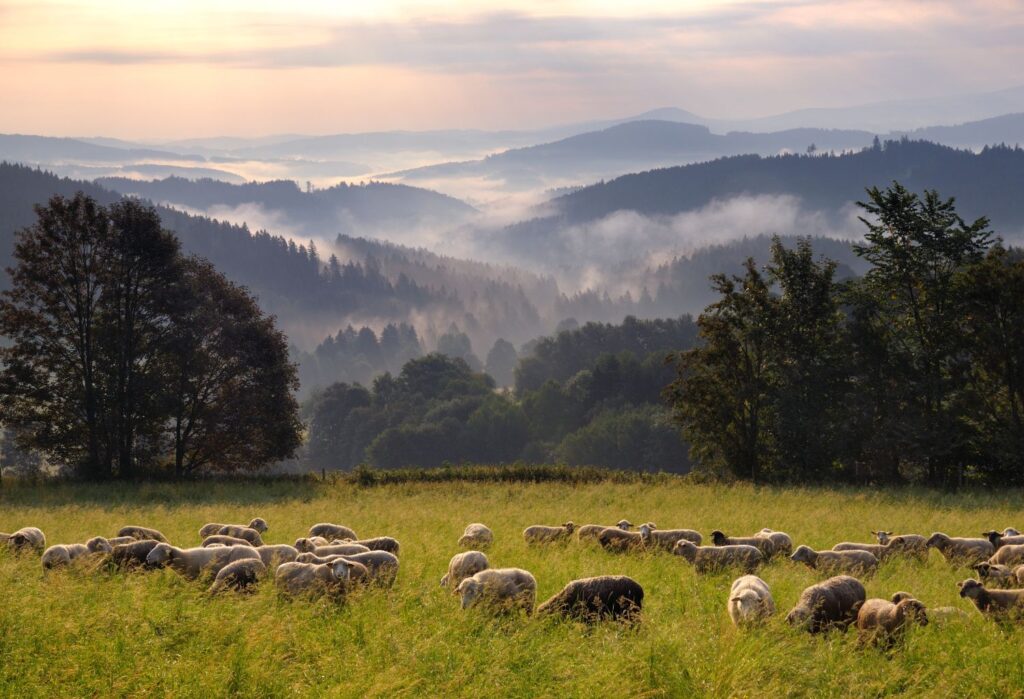Parque Nacional Šumava, excursiones largas desde Praga