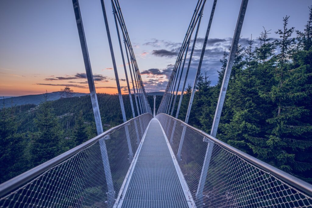 Puente Skybridge 721