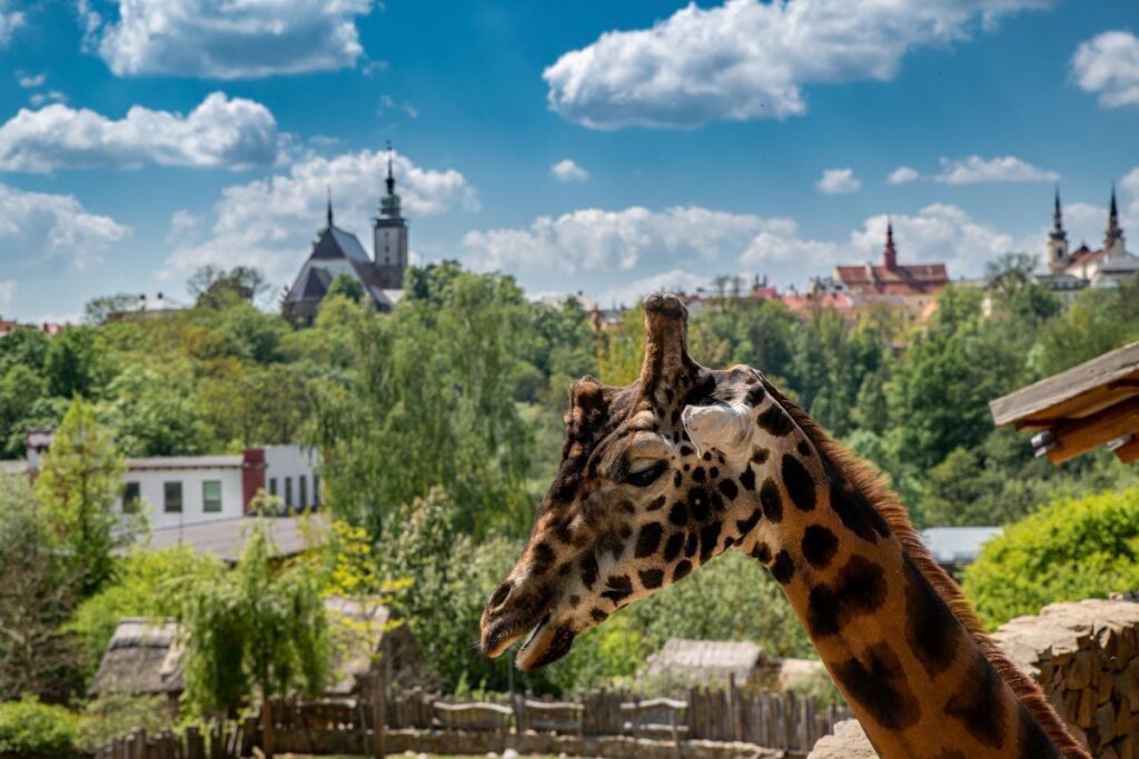 Zoo de Jihlava